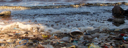 Foto: Omar Uran / Flickr