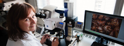 Foto: Archiv Hany Šulákové