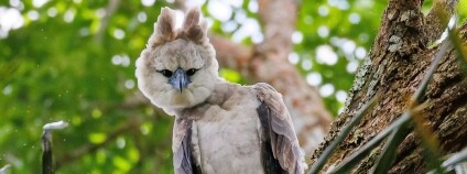 Foto: Miroslav Čapek