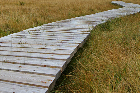 Před pošlapáním by měly vegetaci chránit nově vyznačené cesty, dřevěné chodníky, lávky či žebříky