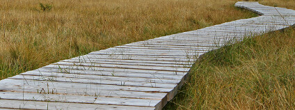 Chodník Foto: ssnowball / Shutterstock