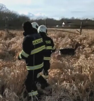 Záchrana jelena v Českých Budějovicích.