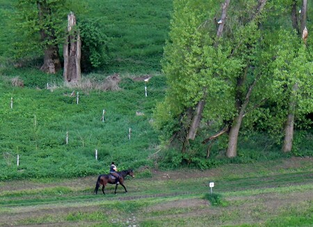 ANO 2011 a TOP 09 podporují krajově výjimečné hipostezky