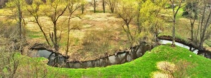 Niva Radbuzy Foto: Daniela Hlinková AOPK ČR