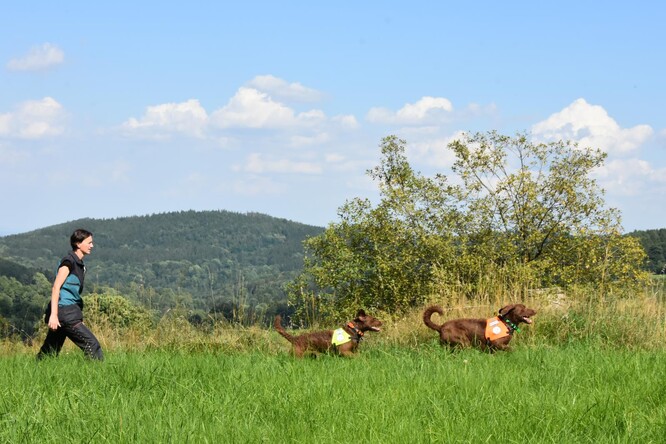 Klára Hlubocká a její psi,  Viky a Irbis.
