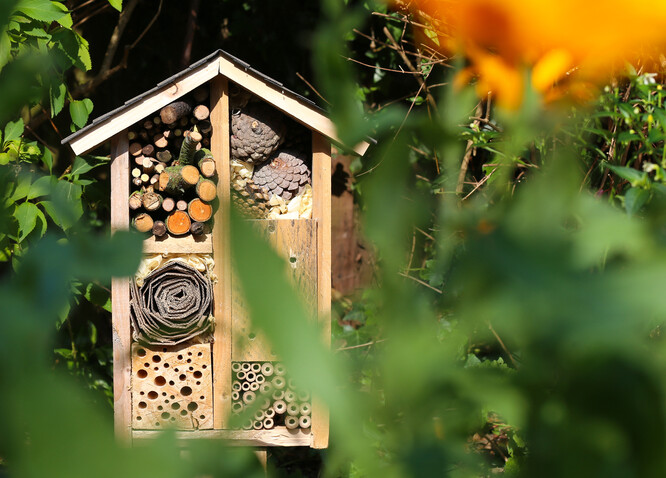 Podle organizátorů hmyzí domek nemusí mít jen obvyklou a tuctovou podobu, jakou známe z hobbymarketů. "Naopak se s ním dá pracovat jako se zajímavým artefaktem, který kromě užitkové a vzdělávací funkce naplní rovněž roli estetickou.