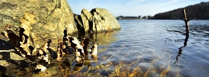 Foto: André Künzelmann / UFZ