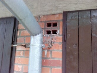 Letité dřívější hnízdiště kosa na frekventovaném místě (do roku 2018).