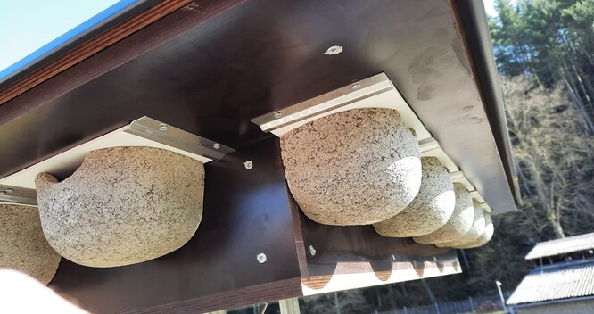 Detail hnízd na hnízdní věži. Umělá hnízda mají jiřičkám nabídnout alternativu k hnízdům, která si jiřičky jinak obvykle staví pod přesahy střech či v rozích oken.