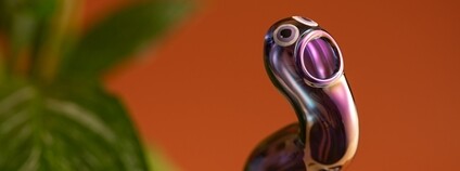 Inovativní zavlažovací systém Wormeec inspirovaný činností žížal. Foto: UJEP