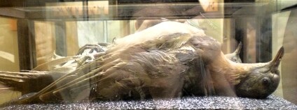 Foto: Sarah Stierch / Flickr