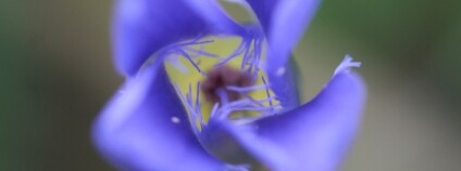 Foto: archiv Skupiny JARO