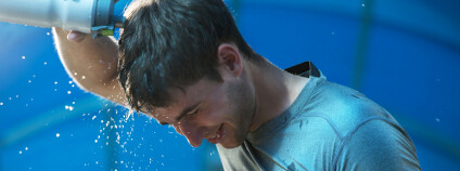 Foto: Milles Studio / Shutterstock.com