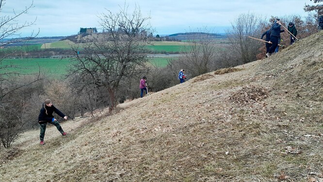 Horky u Bříství - výhrab.