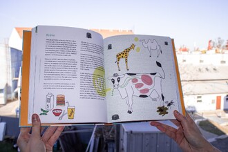 Jaký mají krávy dopad na klima?