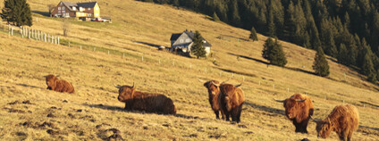 Foto: František Zálešák