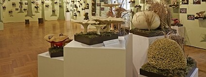 foto: Vlastivědné muzeum v Olomouci