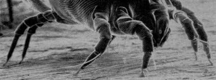 Foto: Employee of US Government / Wikimedia Commons