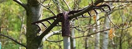 Nechte hrábě odpočinout. Foto: Martin Mach Ondřej / Ekolist.cz