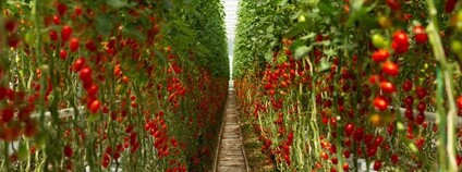 Foto: Farma Bezdínek