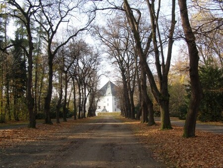 Inspekce kontrolovala kácení ve Hvězdě na začátku března