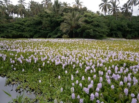 Expozice má podle Johnové vzbudit zájem o konkrétní místa a reálné prožitky v krajině. Prostor v galerii je nově věnován dětem, pro které vzniklo zákoutí, jež má evokovat krajinu řeky Labe. / Ilustrační foto