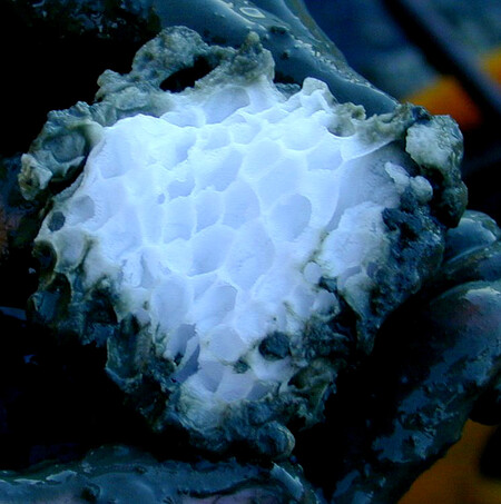 Hydrát metanu je vlastně molekula metanu uvězněná v kleci z krystalu ledu