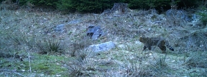 Foto: Agentura ochrany přírody a krajiny