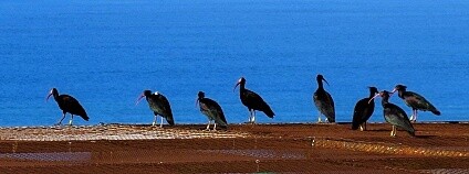 Foto: Proyecto Eremita