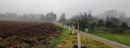 foto: Město Vyškov