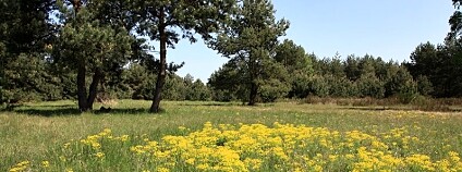 Foto: Denisa Mikešová / ČSOP Klenice