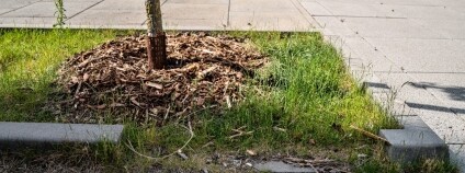 Foto:  Ivana Kabelková