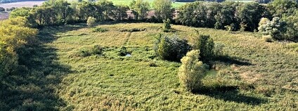 Foto: Lubomír Tichý / Masarykova univerzita