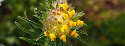 Foto: Jana Soukupová