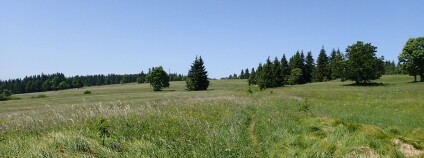 Foto: Zuzana Štípková