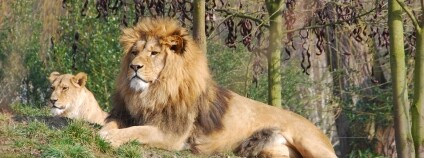 Foto: Jan Pluháček