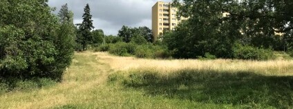 Foto: Jaroslav Záhora / Mendelova univerzita