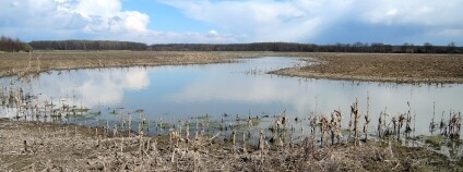 Foto: Jindřiška Bojková