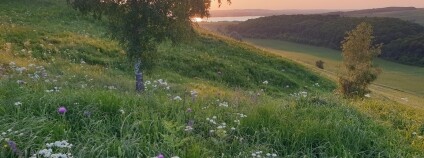 Foto: Lukáš Kroča