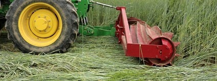 Foto: Rodale Institute