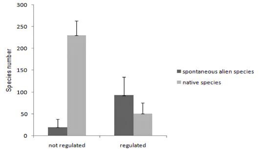 Obr. 2. Změna v rozložení poměru původních (šedá) a introdukovaných (černá) druhů v závislosti na regulaci koryta