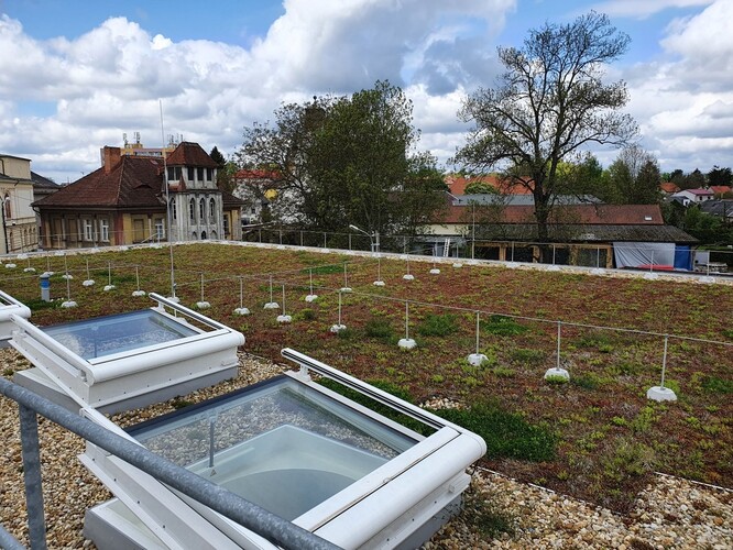 Obrázek 5 Extenzivní zelená střecha umožní zmenšit velikost zasakovacího objektu – Komunitní centrum.
