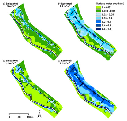 Obr. 7. Zatopení říční nivy a (před revitalizací/průměrný průtok) b (po revitalizaci, průměrný průtok), c (před revitalizací/vysoký průtok), d (po revitalizaci/vysoký průtok).