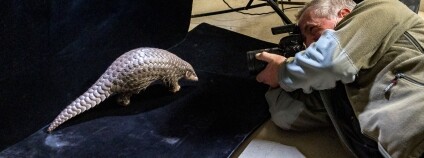 Foto: Miroslav Bobek / Zoo Praha