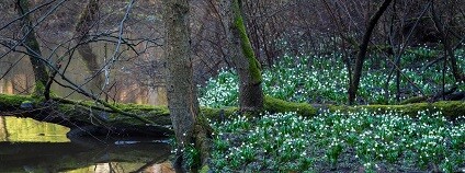 Foto: Vít Černý / Regionální turistické informační centrum Česká lípa