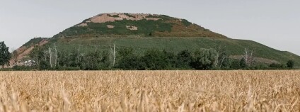 Foto:  AVE CZ odpadové hospodářství s.r.o.