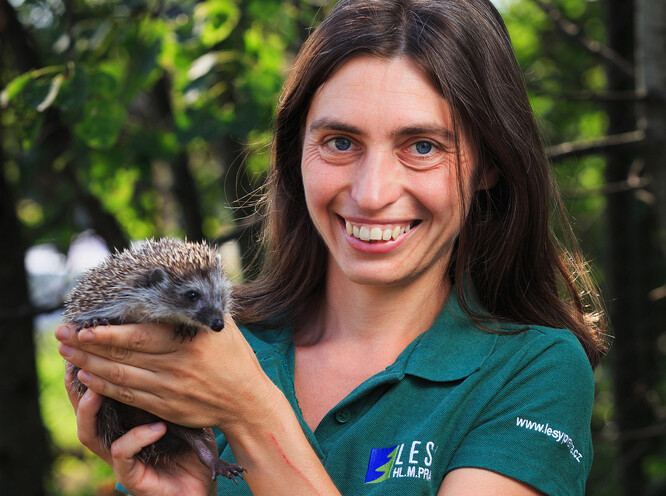 Zuzana Pokorná vystudovala Českou zemědělskou univerzitu, ve své diplomové i disertační práci se věnovala etologii zvířat. Už během studií na vysoké škole se dostala k práci v záchranné stanici (ve Vlašimi). Práce jinadchla natolik, že opustila vědu a začala se záchraně volně žijících živočichů v záchranné stanici věnovat naplno. Od roku 2012 pracuje v Záchranné stanici hl. m. Prahy pro volně žijící živočichy. Specializuje se na péči o ježky.