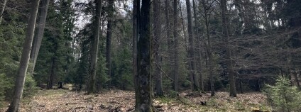 Foto:  Jeňýk Hofmeister