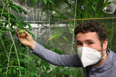 Vědci z Mendelovy univerzity vytvořili databázi škůdců ve všech fázích vývoje, z níž se robot učil, aby uměl rozeznat škůdce od nečistot a listu.