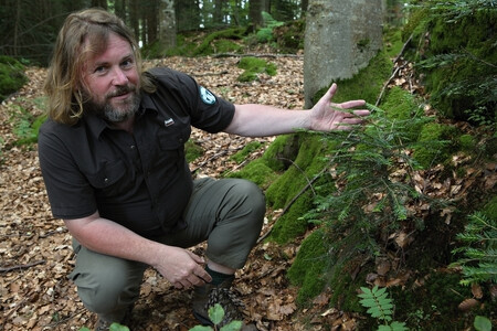 Pavel Hubený (1963) je ředitelem Národního parku Šumava od května 2014.